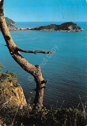 Cartolina Sestri Levante Panorama 1974 (Genova) | Immagine principale