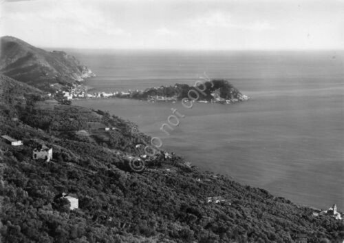Cartolina Sestri Levante penisola 1952