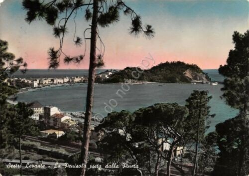 Cartolina Sestri Levante penisola da pineta colorata 1954 | Immagine principale