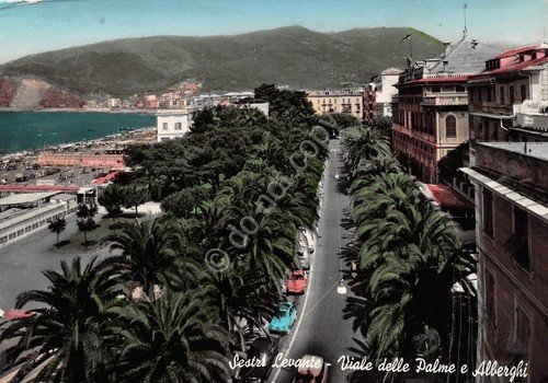 Cartolina Sestri Levante Viale delle Palme Alberghi 1963 (Genova) | Immagine principale