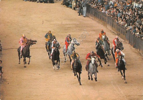 Cartolina Siena Il Palio La Corsa fantini a cavallo animata …