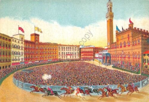 Cartolina Siena la piazza con i cavalli Palio illustrata