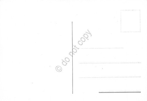 Cartolina Siena la piazza con i cavalli Palio illustrata