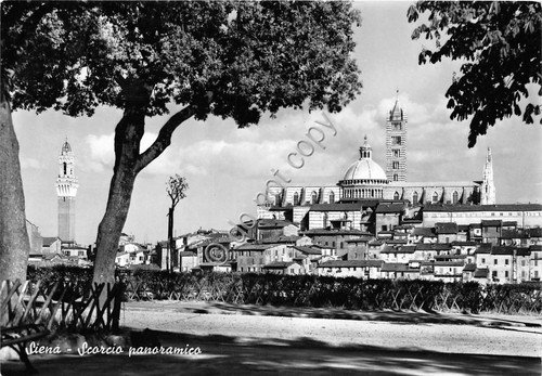 Cartolina Siena Panorama 1961