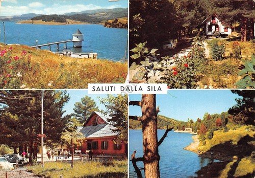 Cartolina Sila Calabria 4 vedute (Catanzaro) | Immagine principale