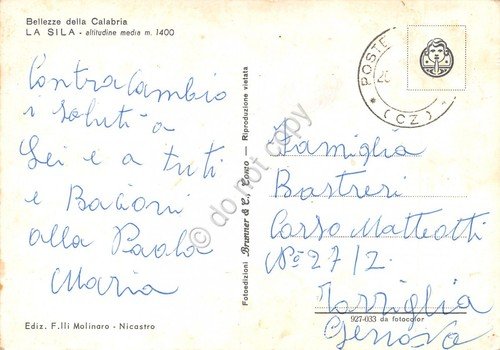 Cartolina Sila Calabria 4 vedute (Catanzaro) | Immagine Gallery 2