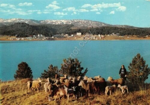 Cartolina Sila Lago Arvo con veduta di Lorica 1971 | Immagine principale