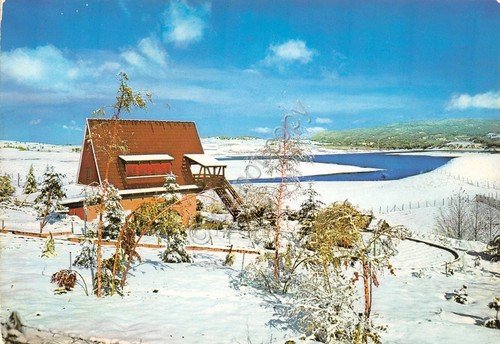 Cartolina Sila Lago Cecita - 1997 | Immagine principale