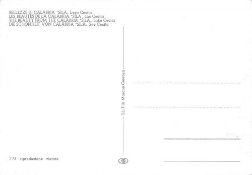 Cartolina Sila Lago Cecita Fiat 600 | Immagine Gallery 2