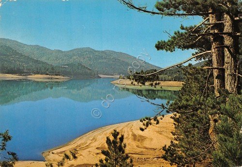 Cartolina Sila panorama parziale 1979 (Cosenza)