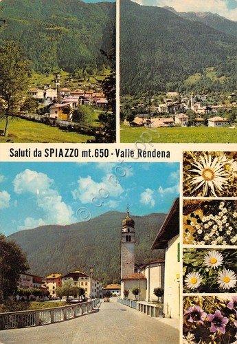 Cartolina Spiazzo Valle Rendena vedute paese panorama a fiori 1973 | Immagine principale