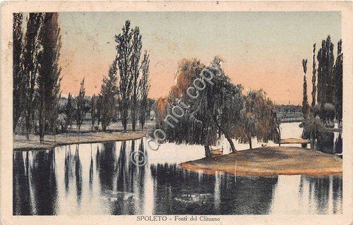 Cartolina Spoleto Fonti del Clitunno Illustrata 1934 (Perugia)