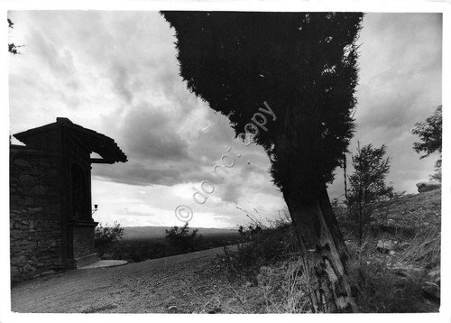 Cartolina Stampa Fotografica Rotativa Bromofoto Assisi n.120