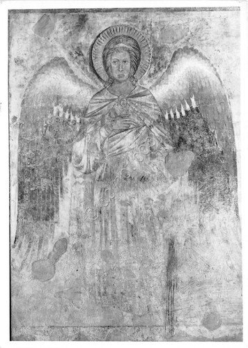 Cartolina Stampa Fotografica Rotativa Bromofoto Assisi n.220