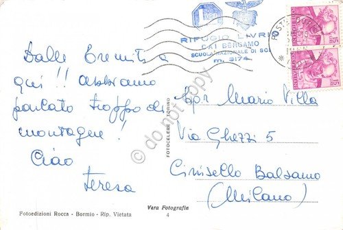 Cartolina Stelvio dal Monte Madaccio scalatore alpinista sci anni '60 | Immagine Gallery 2