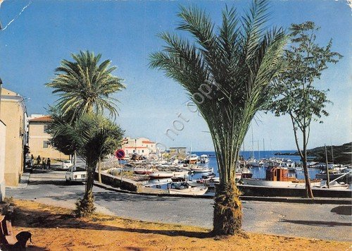 Cartolina Stintino Porticciolo (Sassari) | Immagine principale