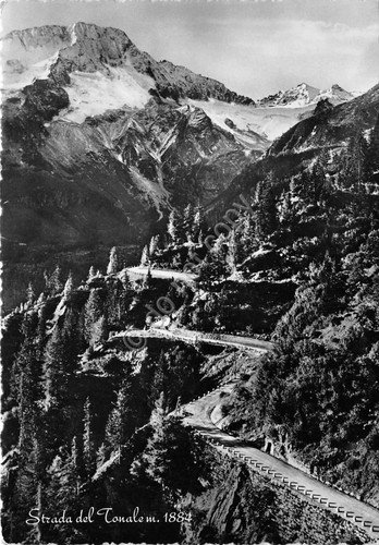 Cartolina Strada del Tonale 1950 (Brescia) | Immagine principale