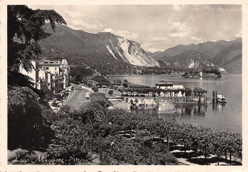Cartolina Stresa Lago Maggiore panorama lungolago 1955 | Immagine principale