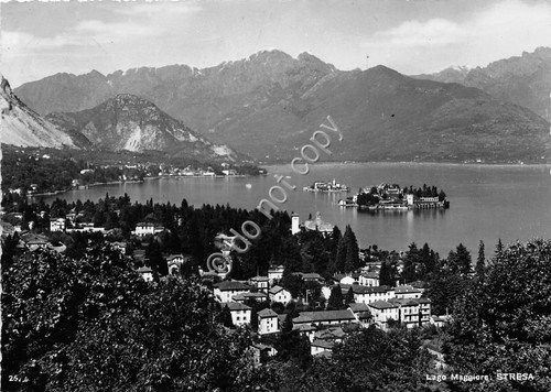 Cartolina Stresa Panorama parziale 1955 (Novara) | Immagine principale