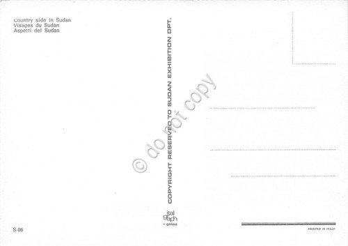 Cartolina Sudan contry side cow wather | Immagine Gallery 2