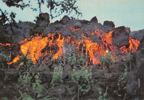 Cartolina Taormina vigneto distrutto da Etna Timbro Bar Crateri Silvestri | Immagine principale