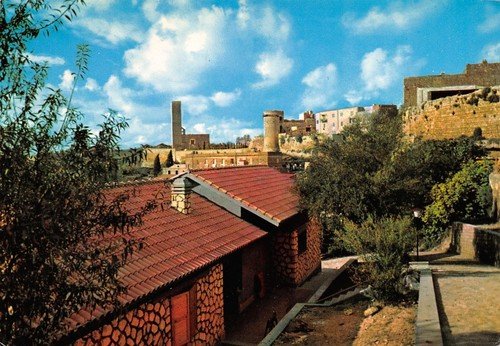 Cartolina Tarquinia panorama parziale 1972