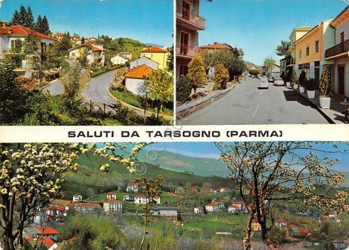 Cartolina Tarsogno 3 vedute (Parma)