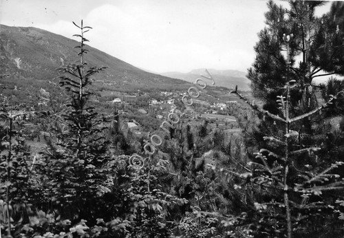 Cartolina Tarsogno Panorama 1954 | Immagine principale