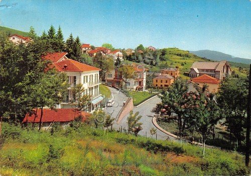 Cartolina Tarsogno Panorama parziale 1966