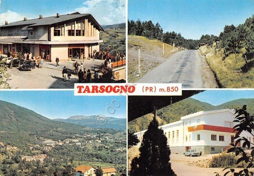 Cartolina Tarsogno vedute 1970