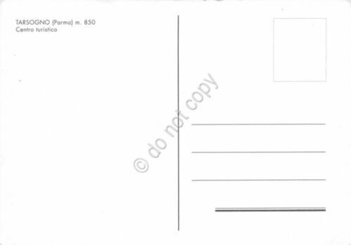 Cartolina Tarsogno Vedute notturno (Parma) | Immagine Gallery 2
