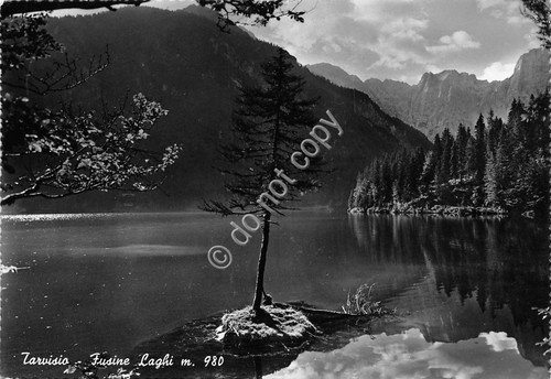 Cartolina Tarvisio Fusine Laghi 1956 | Immagine principale