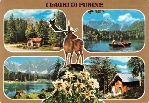 Cartolina Tarvisio Laghi di Fusine Vedute Parco Naturale Regionale 1974 …