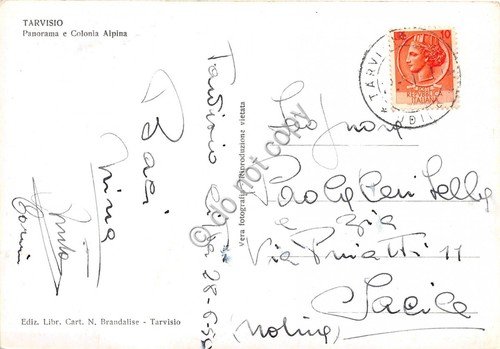 Cartolina Tarvisio Panorama e Colonia Alpina 1950 | Immagine Gallery 2
