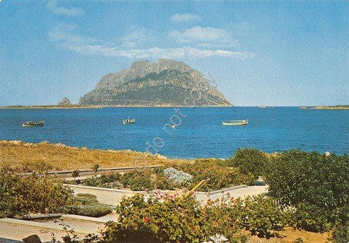 Cartolina Tavolara vista da terrazza | Immagine principale