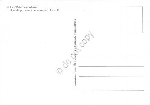 Cartolina Termoli una via della vecchia città animata | Immagine Gallery 2