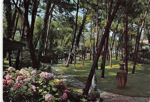 Cartolina Tirrenia Parco e ville 1970