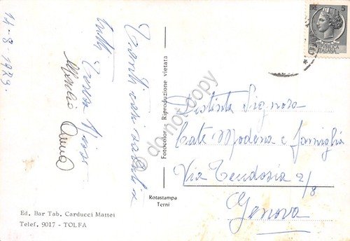 Cartolina Tolfa vedute varie paese animata 1979