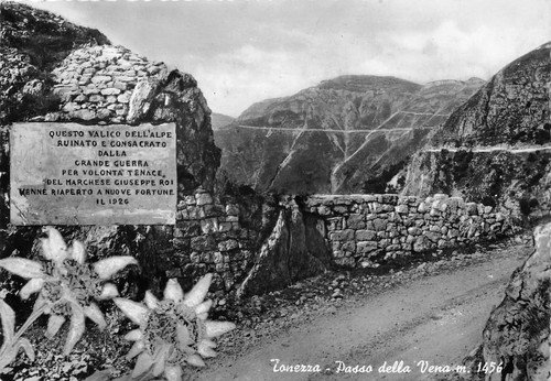 Cartolina Tonezza Passo della Vena stella alpina