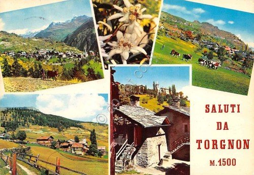 Cartolina Torgnon vedute varie e pascolo mucche 1986 | Immagine principale