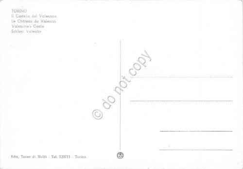Cartolina Torino Castello del Valentino | Immagine Gallery 2