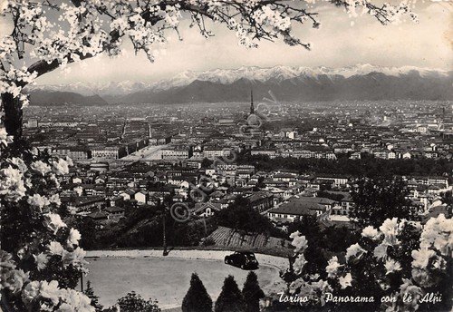 Cartolina Torino Panorama con le Alpi SACAT | Immagine principale