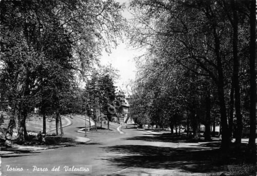 Cartolina Torino Parco del Valentino 1951 SACAT