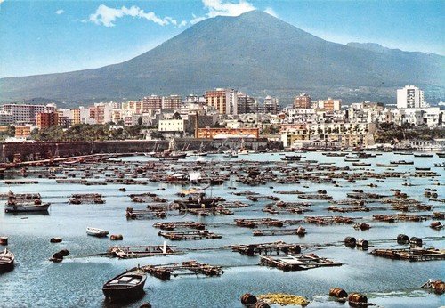 Cartolina Torre Annunziata panorama parziale del porto e Vesuvio anni … | Immagine Gallery 1