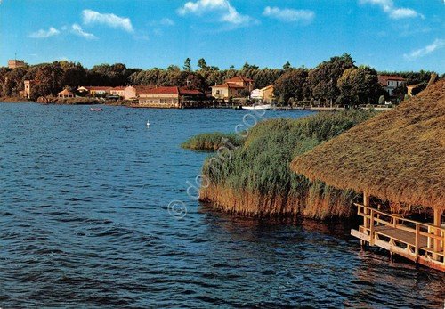 Cartolina Torre del Lago Puccini lago canne terrazza sul lago … | Immagine principale
