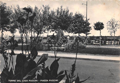 Cartolina Torre del Lago Puccini Piazza Puccini animata auto 1953 | Immagine principale