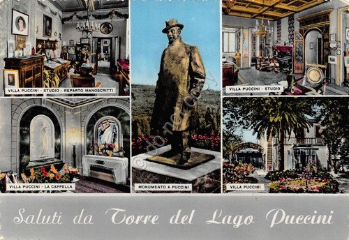 Cartolina Torre del Lago Puccini vedute Monumento Villa Puccini (Lucca) | Immagine principale