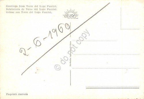 Cartolina Torre del Lago Puccini vedute Monumento Villa Puccini (Lucca) | Immagine Gallery 2