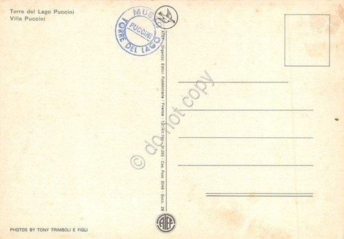 Cartolina Torre del Lago Puccini Villa Puccini timbro al retro | Immagine Gallery 2