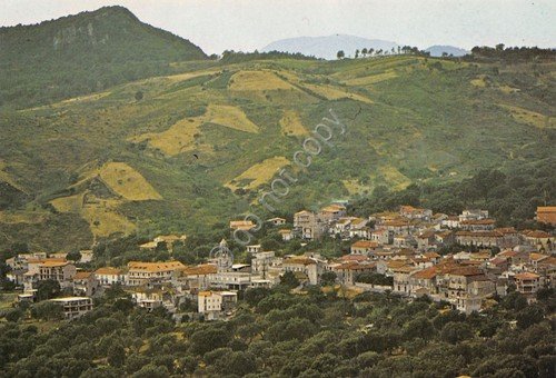 Cartolina Torre Orsaia panorama paese case anni '80